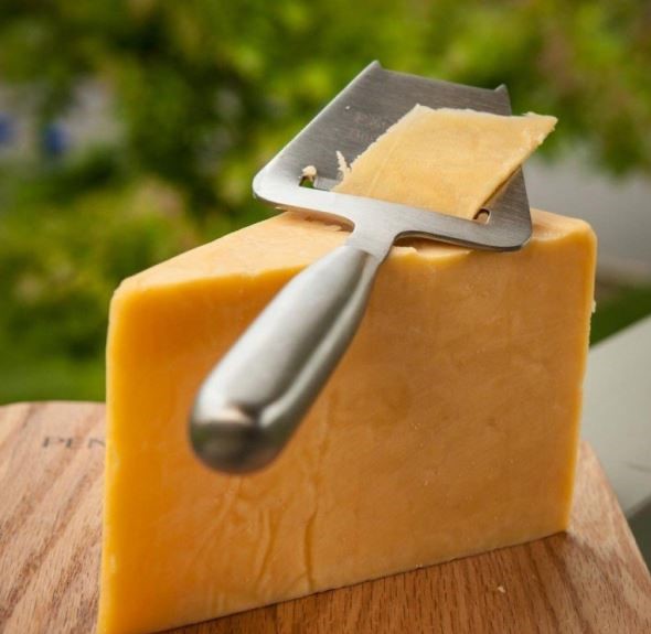 طرز تهیه پنیر چدار خوشمزه خانگی